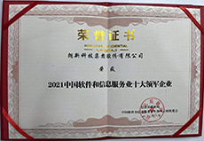 中国软件和信息服务业十大领军企业.jpg